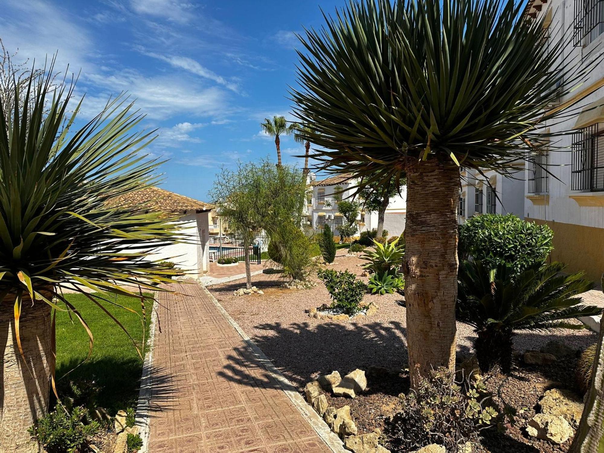 Las Carolinas Residence With Pool San Miguel De Salinas Eksteriør billede
